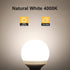 12V RV Led Light Bulbs, Natural White