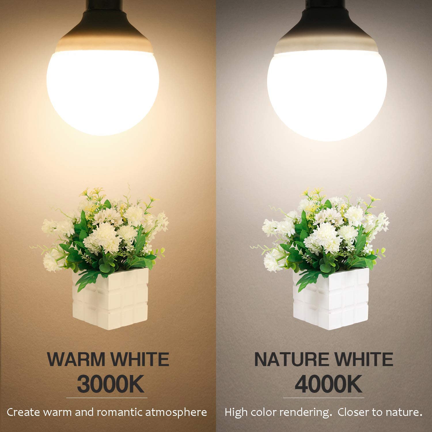 12V RV Led Light Bulbs, Warm White