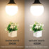 12V RV Led Light Bulbs, Warm White